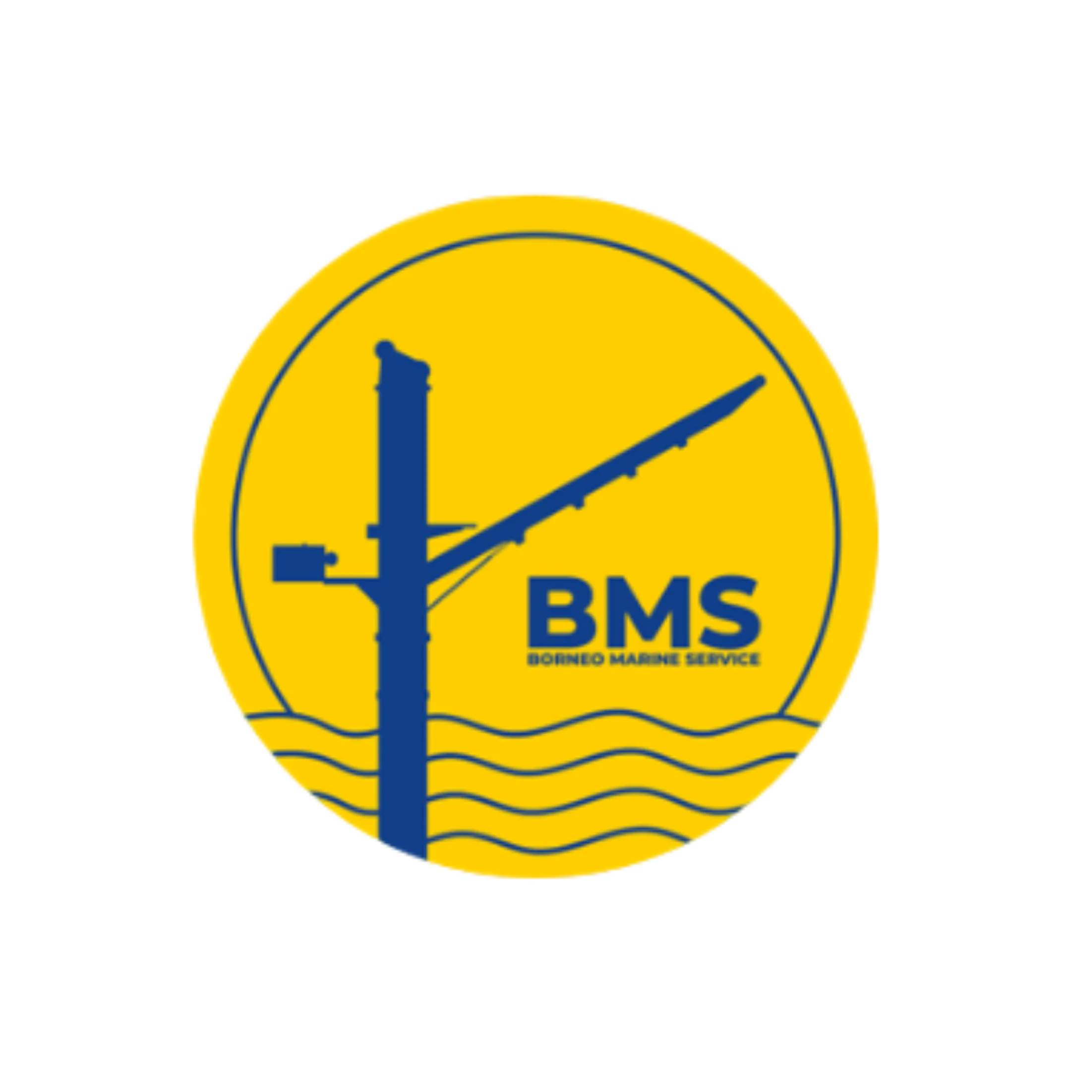 PT BMS